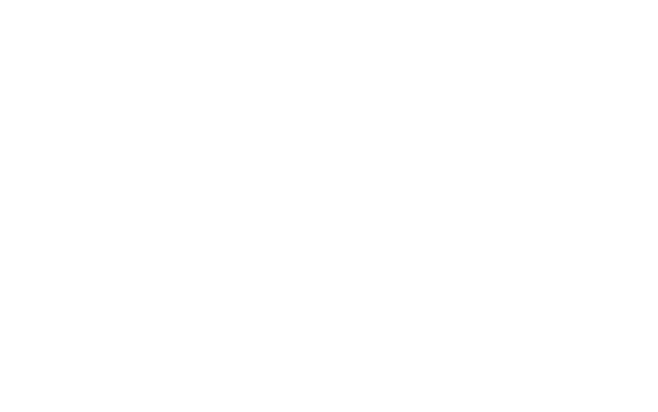 Men of Mayhem