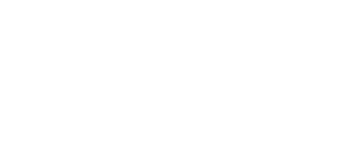 fynax flow digital
